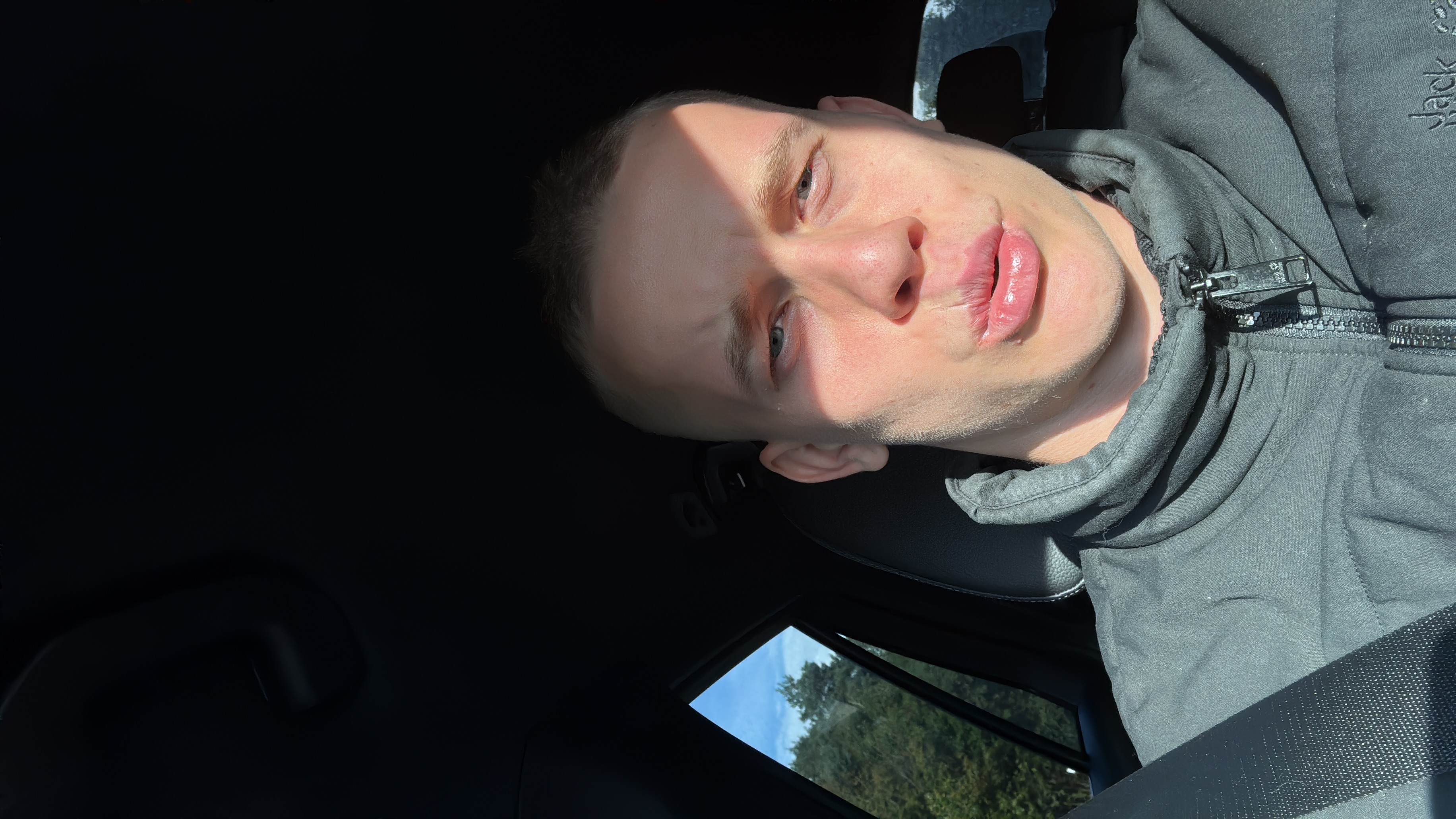 Leo, contemplative, in transit